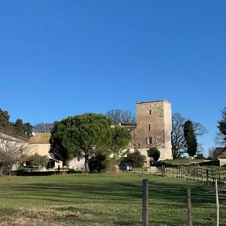 Hébergement de vacances Mas De La Motte - Domaine En Camargue Au Bord Du Petit Rhône *
