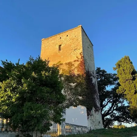 Hébergement de vacances Mas De La Motte - Domaine En Camargue Au Bord Du Petit Rhône Saint-Gilles (Gard)