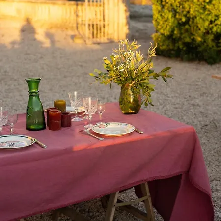 Mas De La Motte - Domaine En Camargue Au Bord Du Petit Rhône