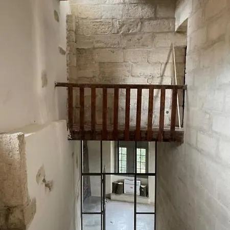 Mas De La Motte - Domaine En Camargue Au Bord Du Petit Rhône Saint-Gilles (Gard)