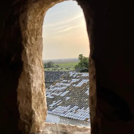 Hébergement de vacances Mas De La Motte - Domaine En Camargue Au Bord Du Petit Rhône
